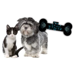 Accesorio Cuántico de Quantum Vida para mascotas, perros gatos y otros animales de compañía